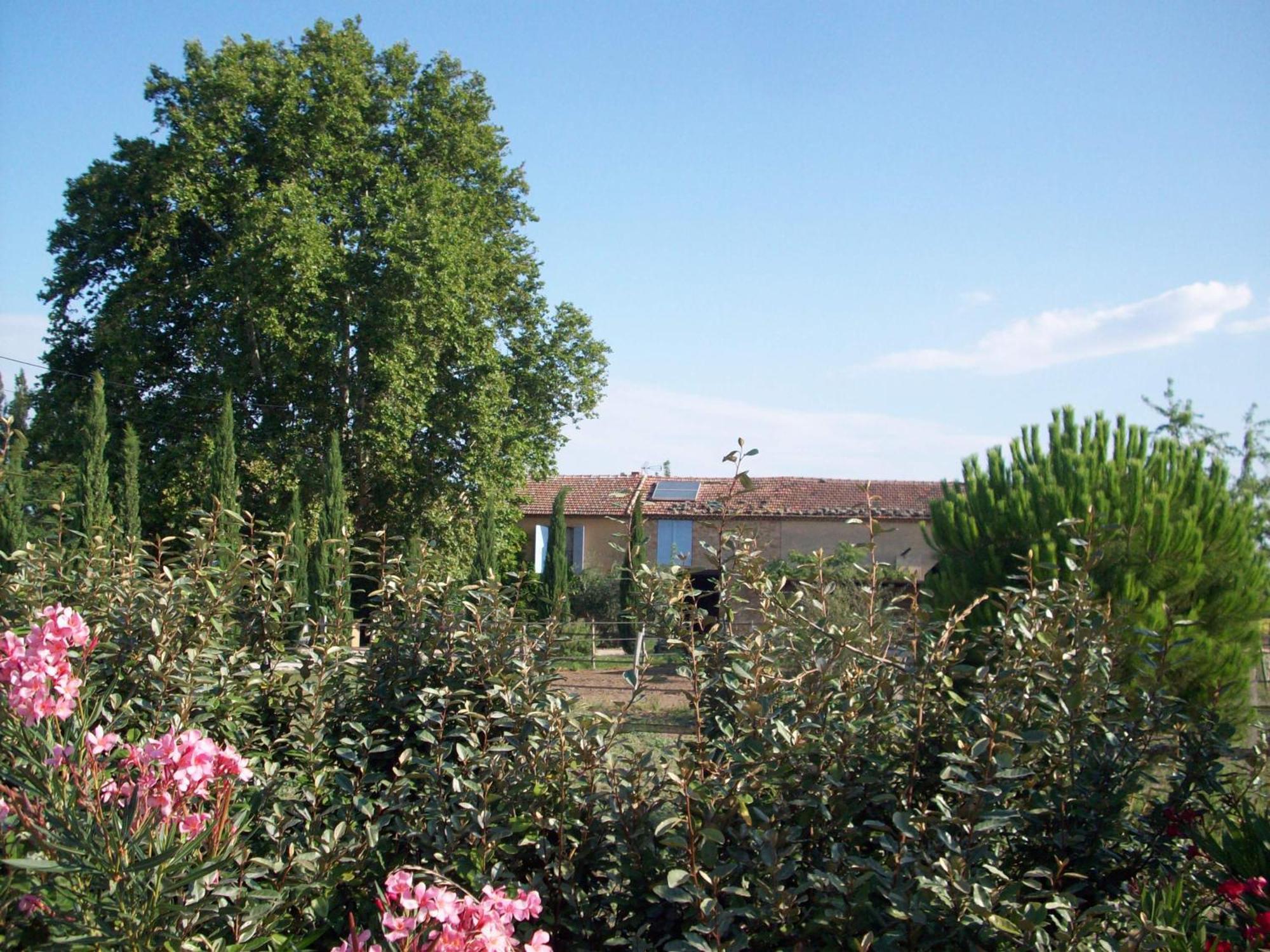 Mas Du Puits D'Amour Orange (Vaucluse) Exterior foto