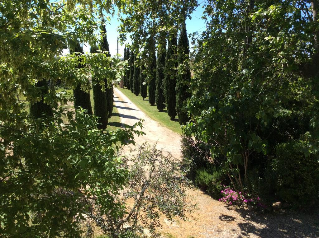 Mas Du Puits D'Amour Orange (Vaucluse) Exterior foto