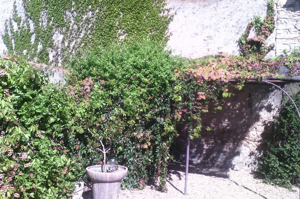 Mas Du Puits D'Amour Orange (Vaucluse) Exterior foto