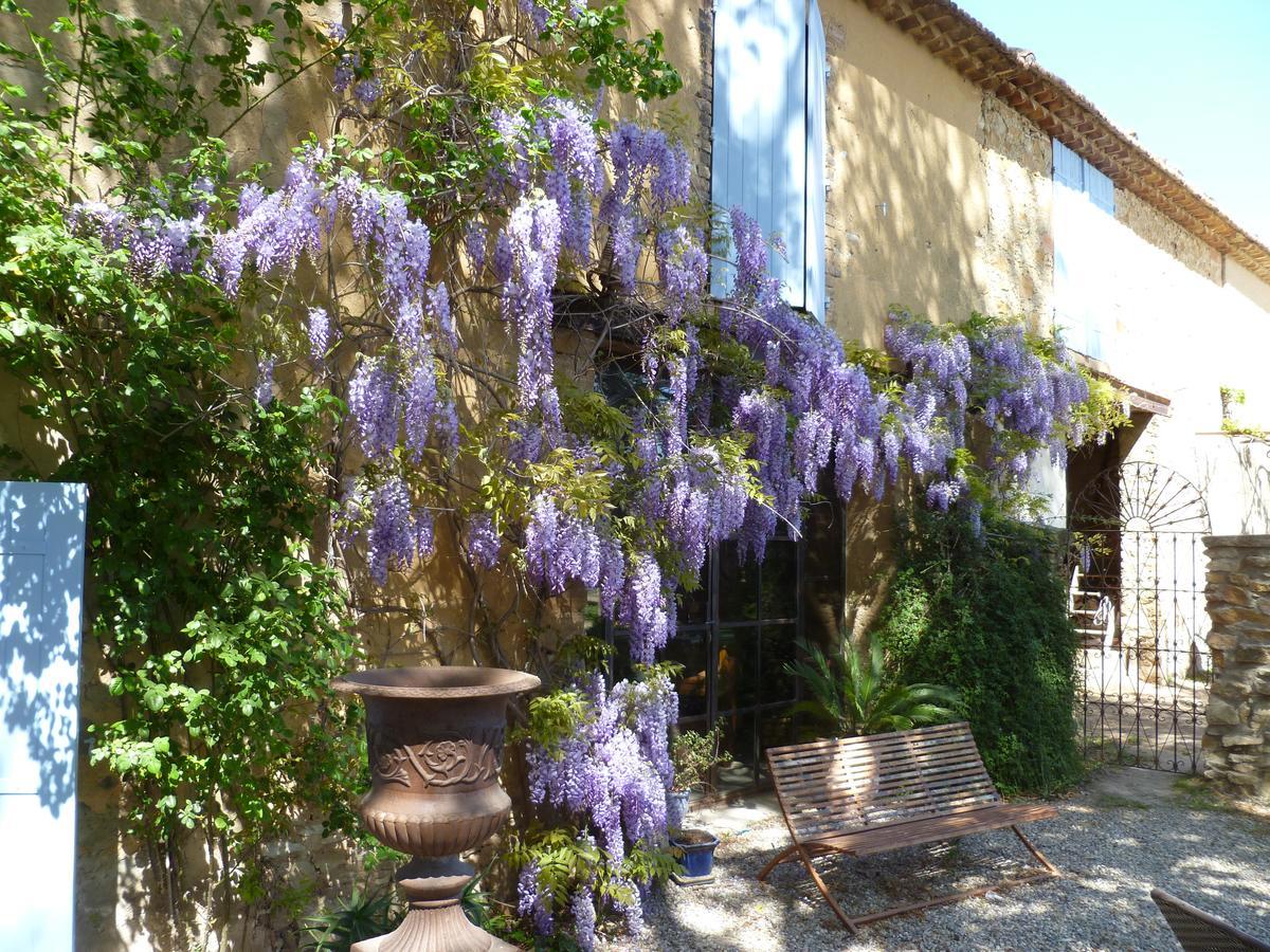 Mas Du Puits D'Amour Orange (Vaucluse) Exterior foto